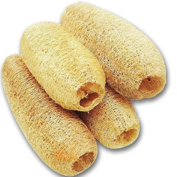 Torai Loofa/pack of 3 - Image 9