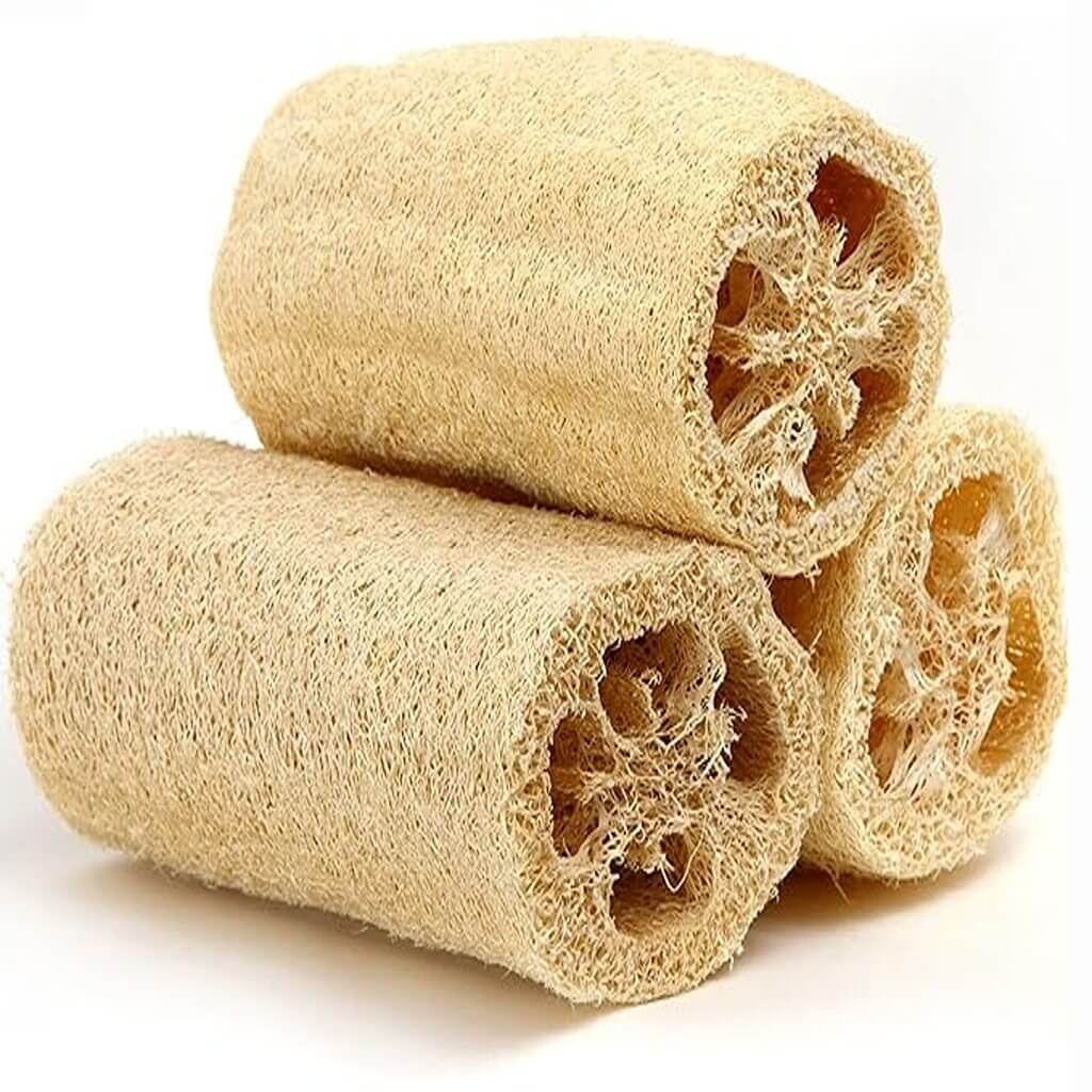Torai Loofa/pack of 3