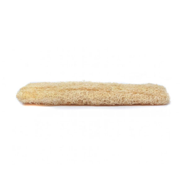 Torai Loofa/pack of 3 - Image 5