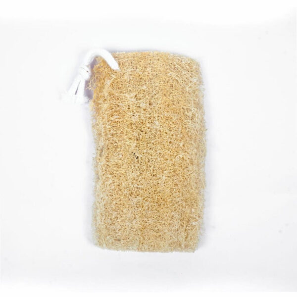 Torai Loofa/pack of 3 - Image 4