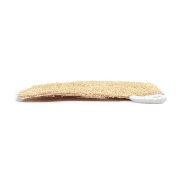 Torai Loofa/pack of 3 - Image 3