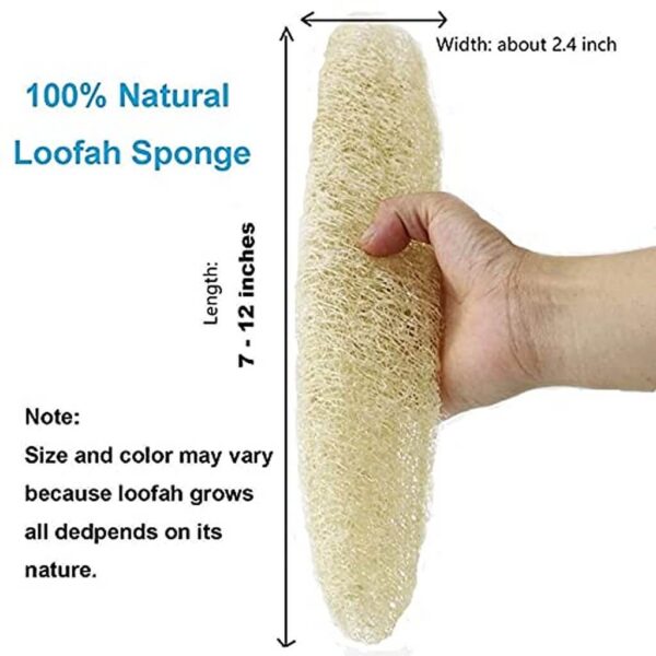 Torai Loofa/pack of 3 - Image 2